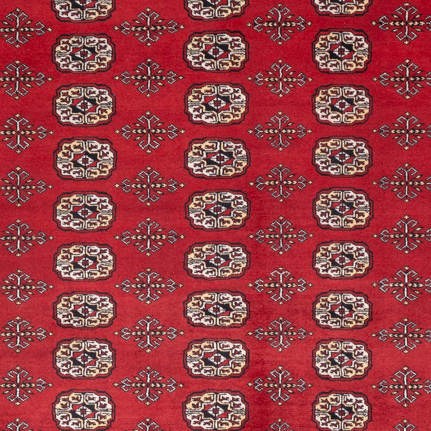 Afghan Rug - Bukhara - 298 x 243 cm - red