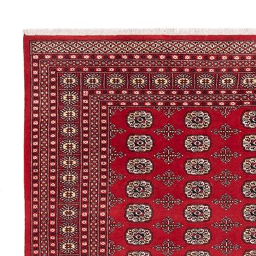 Afghan Rug - Bukhara - 298 x 243 cm - red