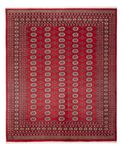 Afghan Rug - Bukhara - 298 x 243 cm - red