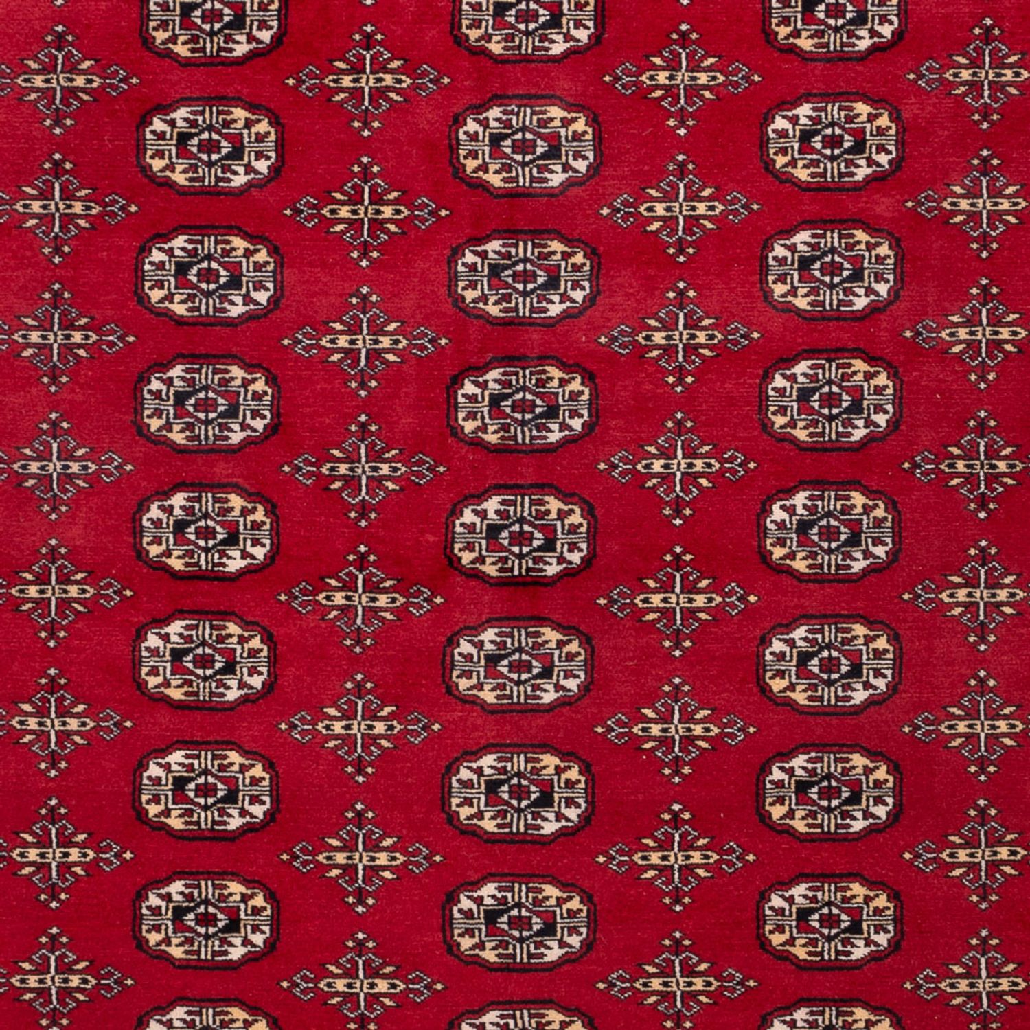 Afghan Rug - Bukhara - 308 x 243 cm - red