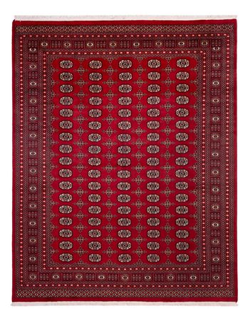Afghan Rug - Bukhara - 308 x 243 cm - red