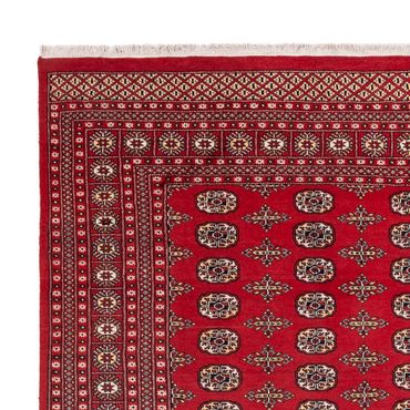 Afghan Rug - Bukhara - 312 x 244 cm - red