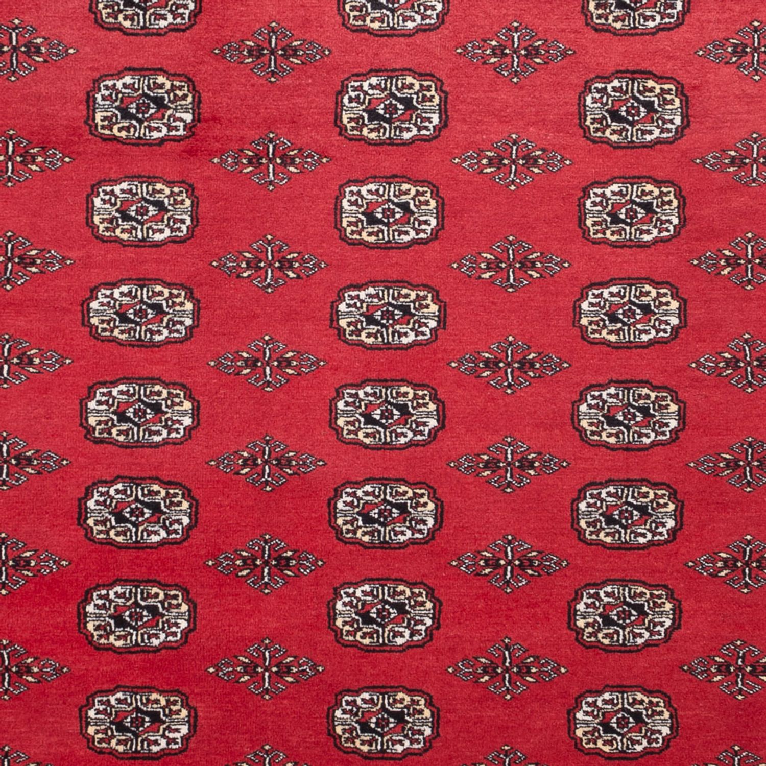 Afghan Rug - Bukhara - 305 x 246 cm - red