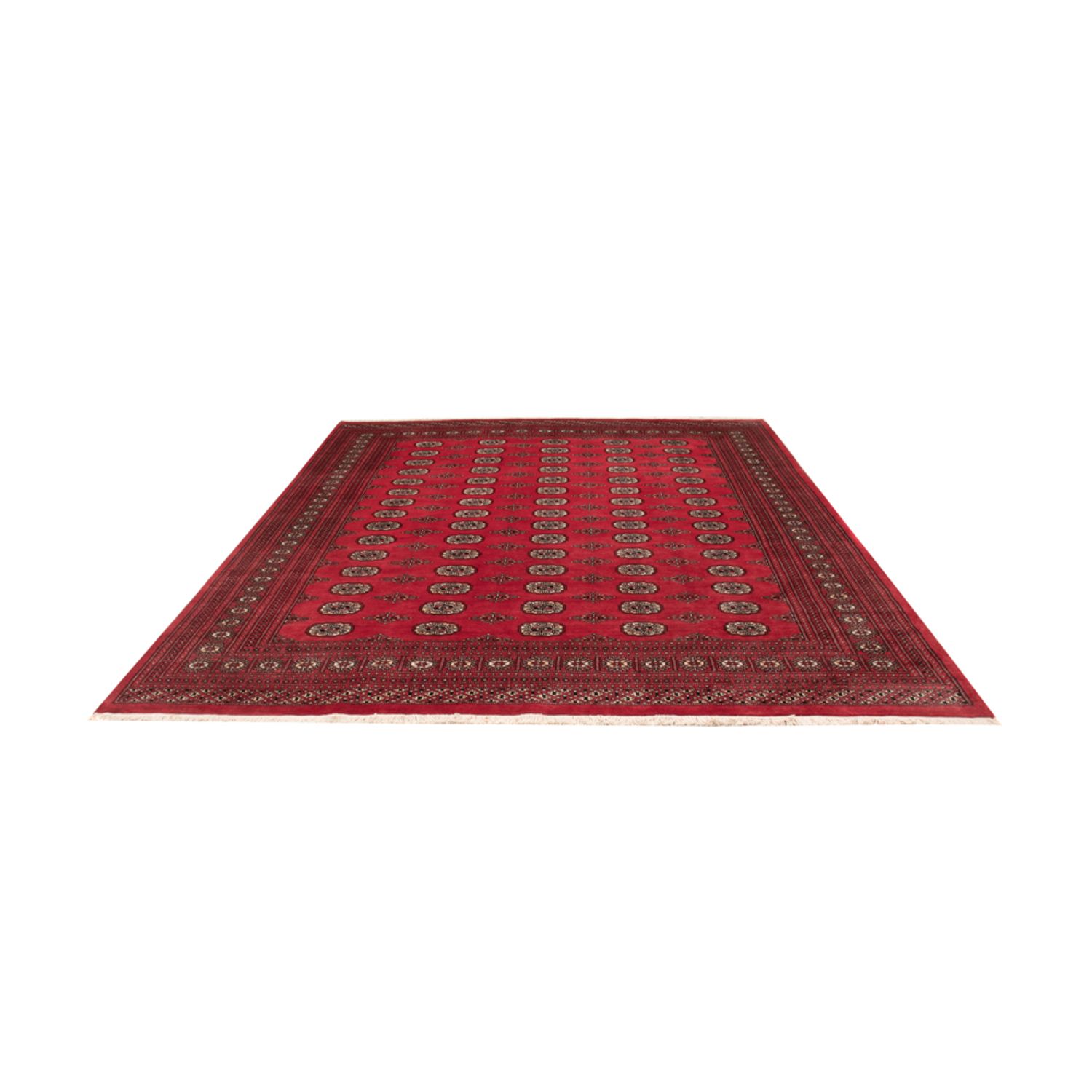 Afghan Rug - Bukhara - 305 x 246 cm - red