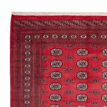 Afghan Rug - Bukhara - 305 x 246 cm - red