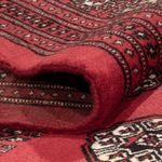 Afghan Rug - Bukhara - 305 x 246 cm - red
