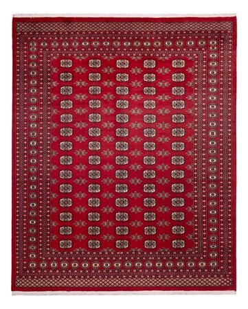 Afghan Rug - Bukhara - 301 x 245 cm - red