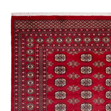 Afghan Rug - Bukhara - 301 x 245 cm - red