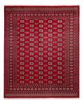Afghan Rug - Bukhara - 301 x 245 cm - red