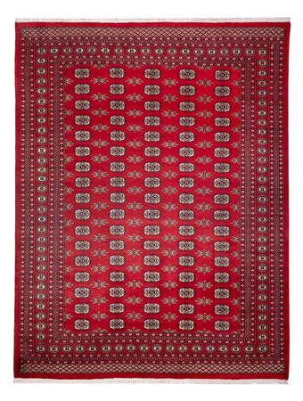 Afghan Rug - Bukhara - 314 x 243 cm - red