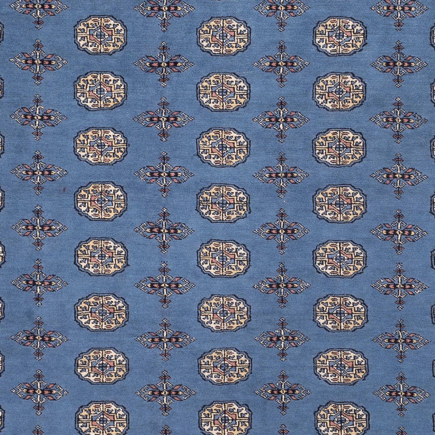 Afghan Rug - Bukhara - 344 x 248 cm - blue