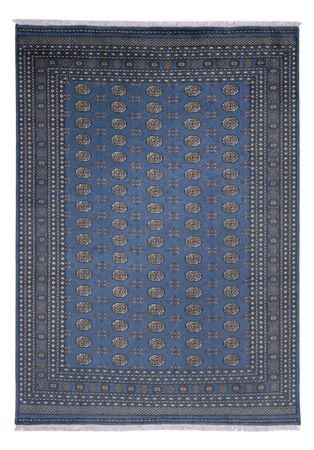 Afghan Rug - Bukhara - 341 x 240 cm - blue