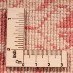 Ziegler Rug - Ariana - 364 x 282 cm - light red