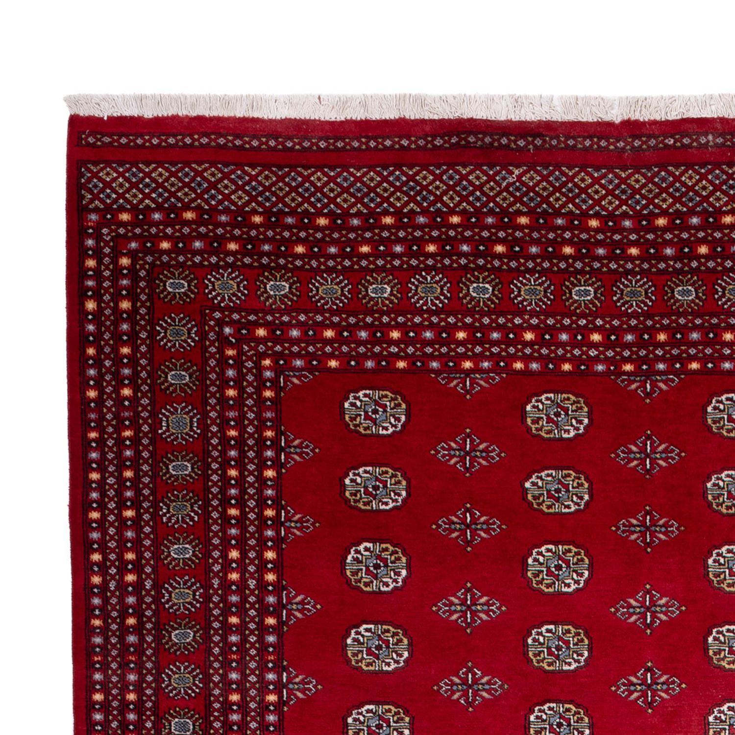 Afghan Rug - Bukhara - 380 x 277 cm - red