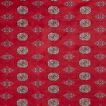 Afghan Rug - Bukhara - 380 x 277 cm - red