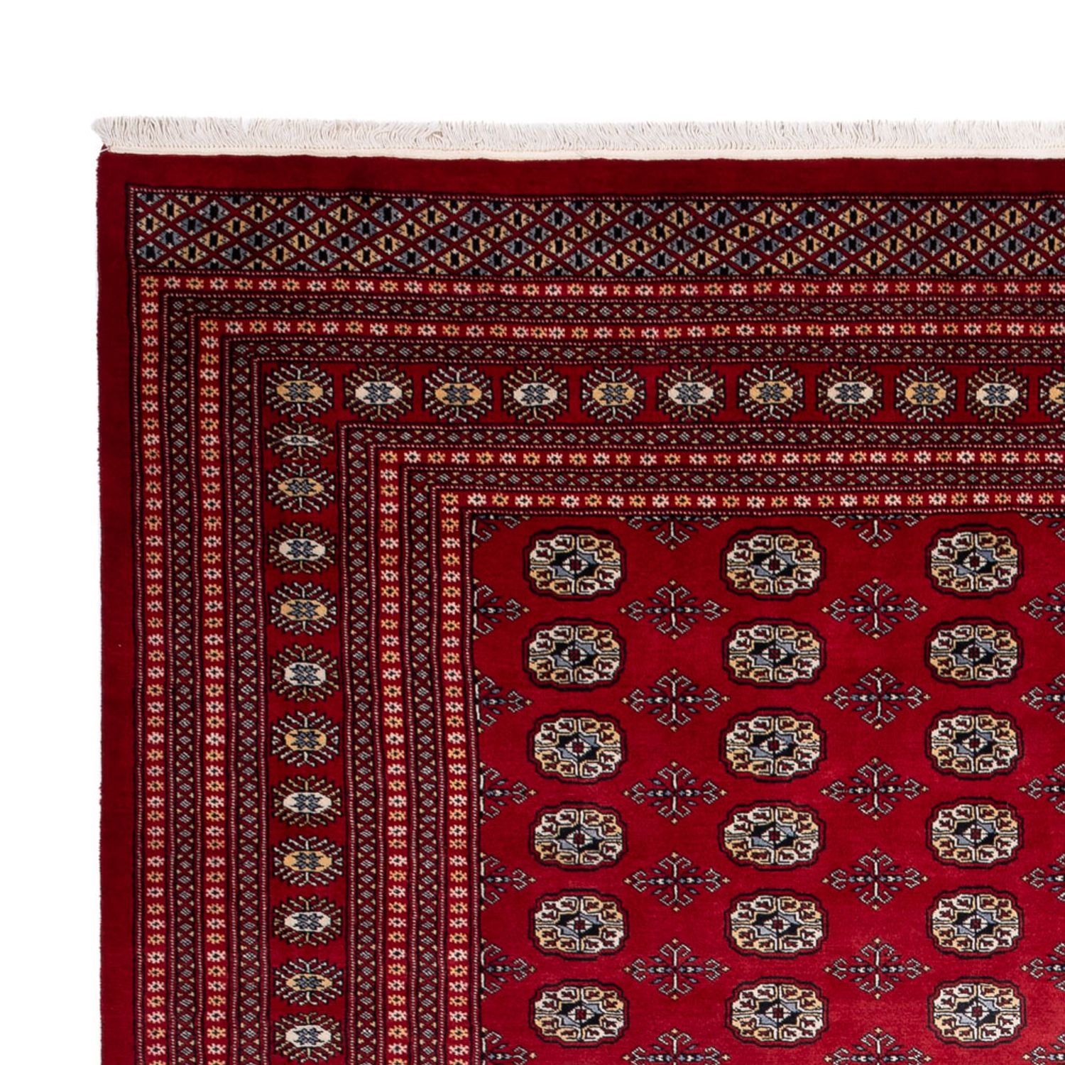 Afghan Rug - Bukhara - 363 x 280 cm - red