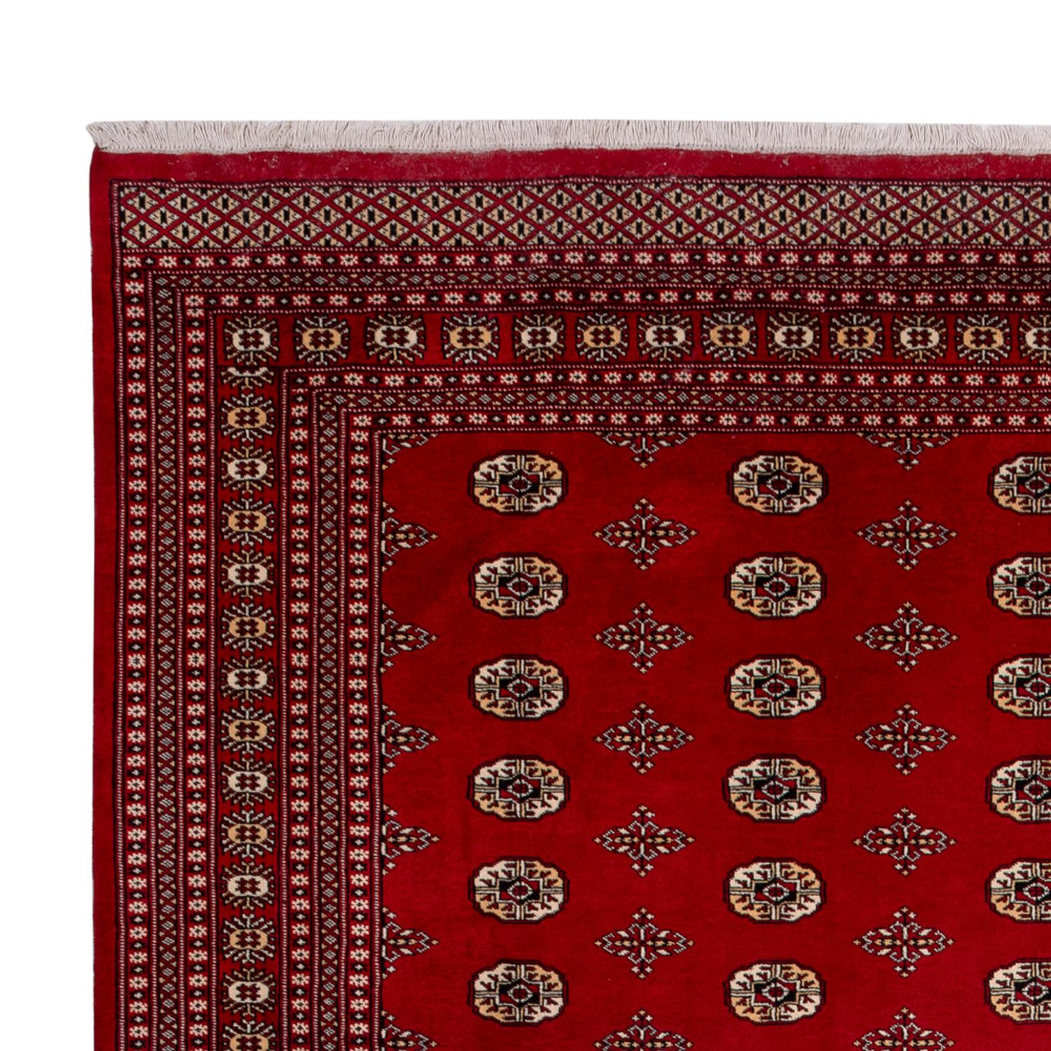 Afghan Rug - Bukhara - 387 x 276 cm - red