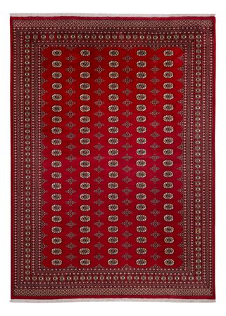 Afghan Rug - Bukhara - 387 x 276 cm - red