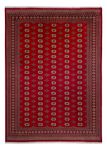 Afghan Rug - Bukhara - 387 x 276 cm - red