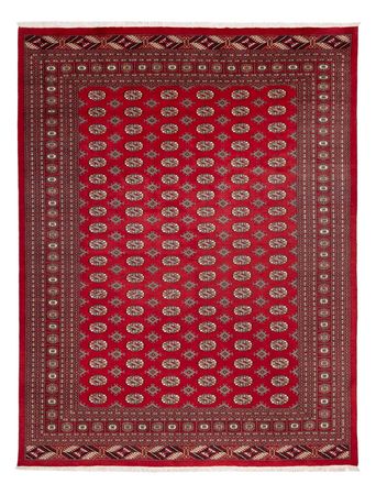 Afghan Rug - Bukhara - 354 x 275 cm - red