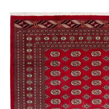 Afghan Rug - Bukhara - 354 x 275 cm - red