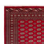 Afghan Rug - Bukhara - 354 x 275 cm - red