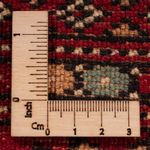 Afghan Rug - Bukhara - 354 x 275 cm - red