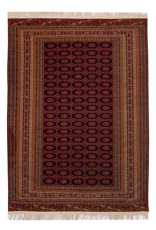 Afghan Rug - 321 x 243 cm - dark red
