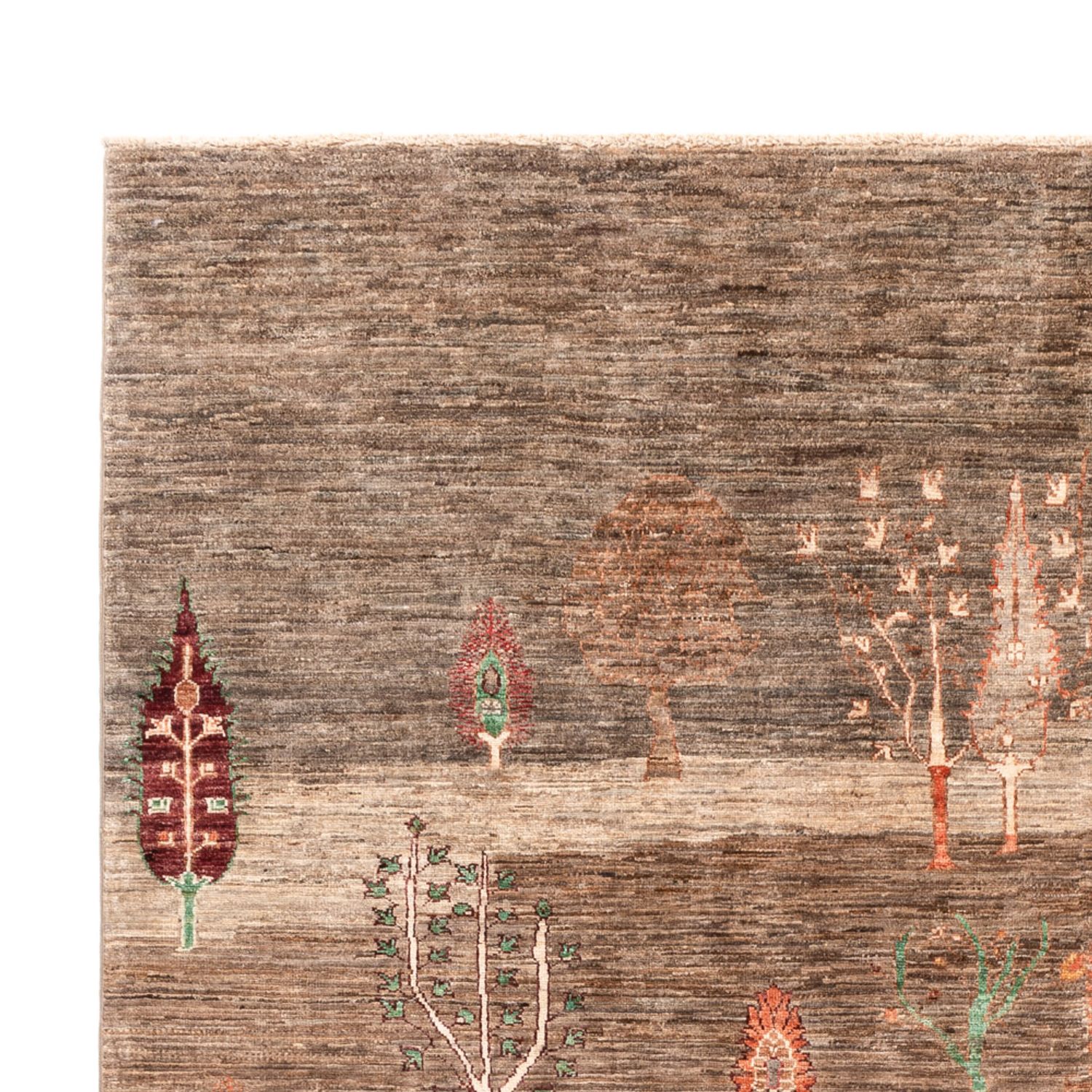 Ziegler Rug - Ariana - 303 x 208 cm - beige