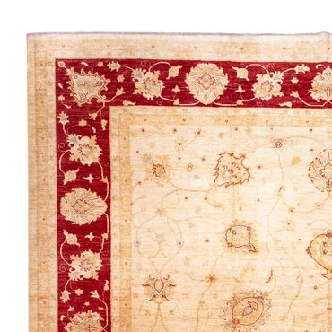 Ziegler Rug - 584 x 394 cm - beige