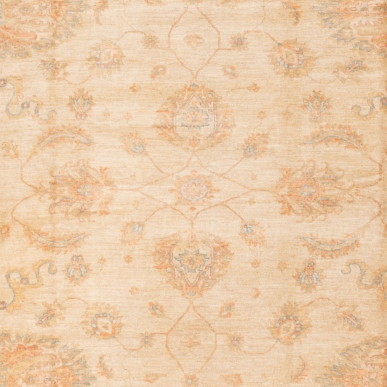 Ziegler Rug - 585 x 396 cm - beige