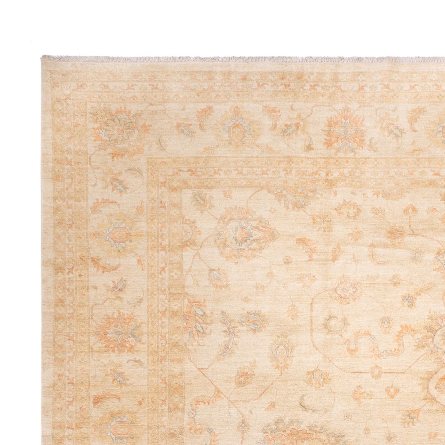 Ziegler Rug - 585 x 396 cm - beige
