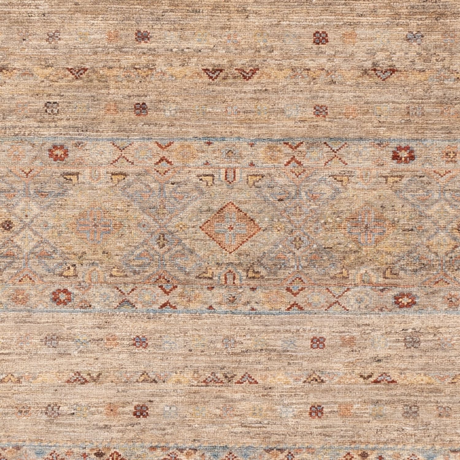 Ziegler Rug - Ariana - 204 x 154 cm - beige