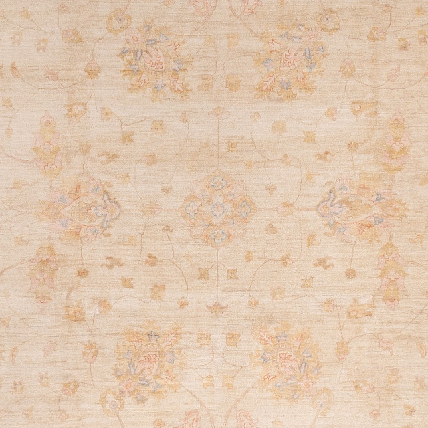 Ziegler Rug - 494 x 301 cm - beige