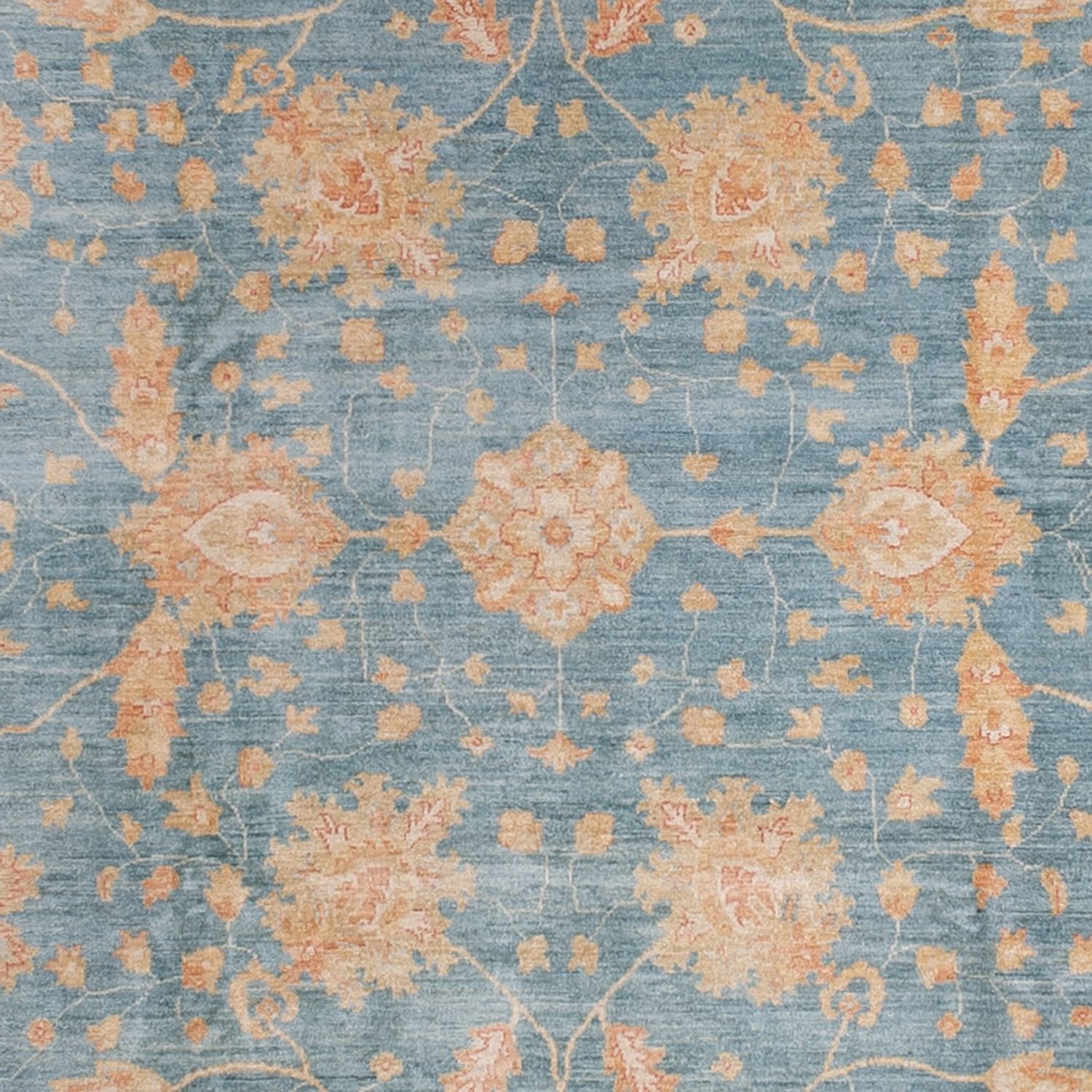 Ziegler Rug - 495 x 306 cm - light blue
