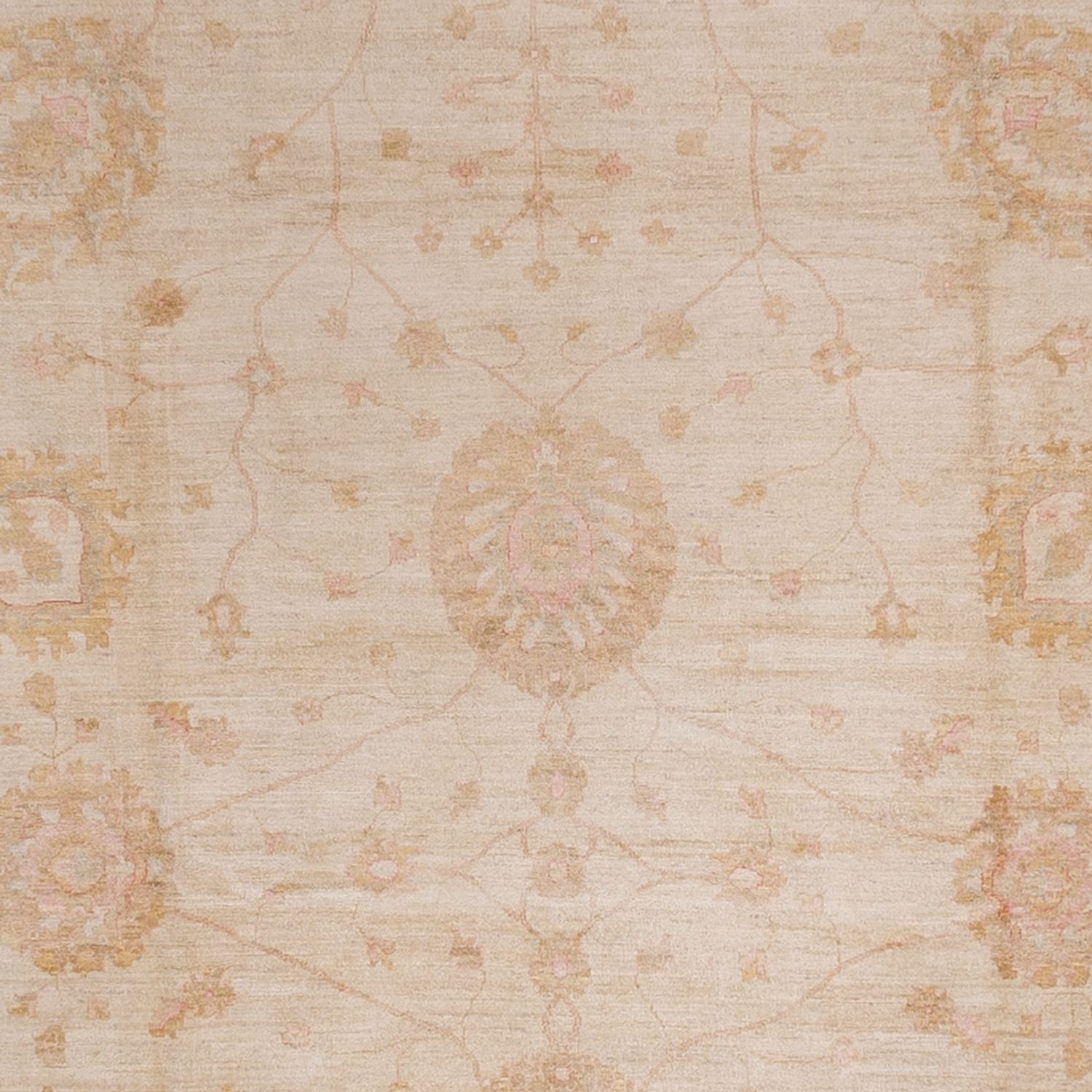 Ziegler Rug - 543 x 350 cm - beige