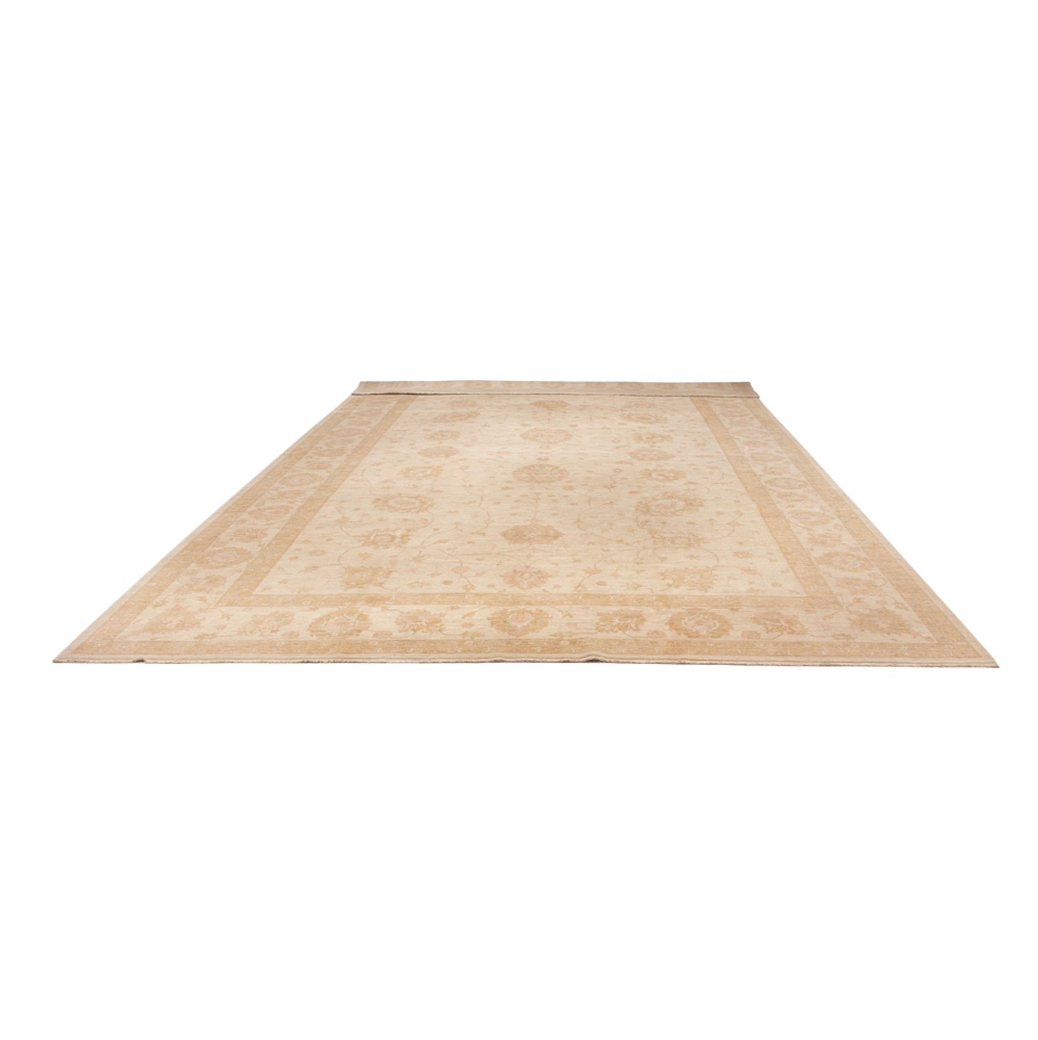 Ziegler Rug - 543 x 350 cm - beige