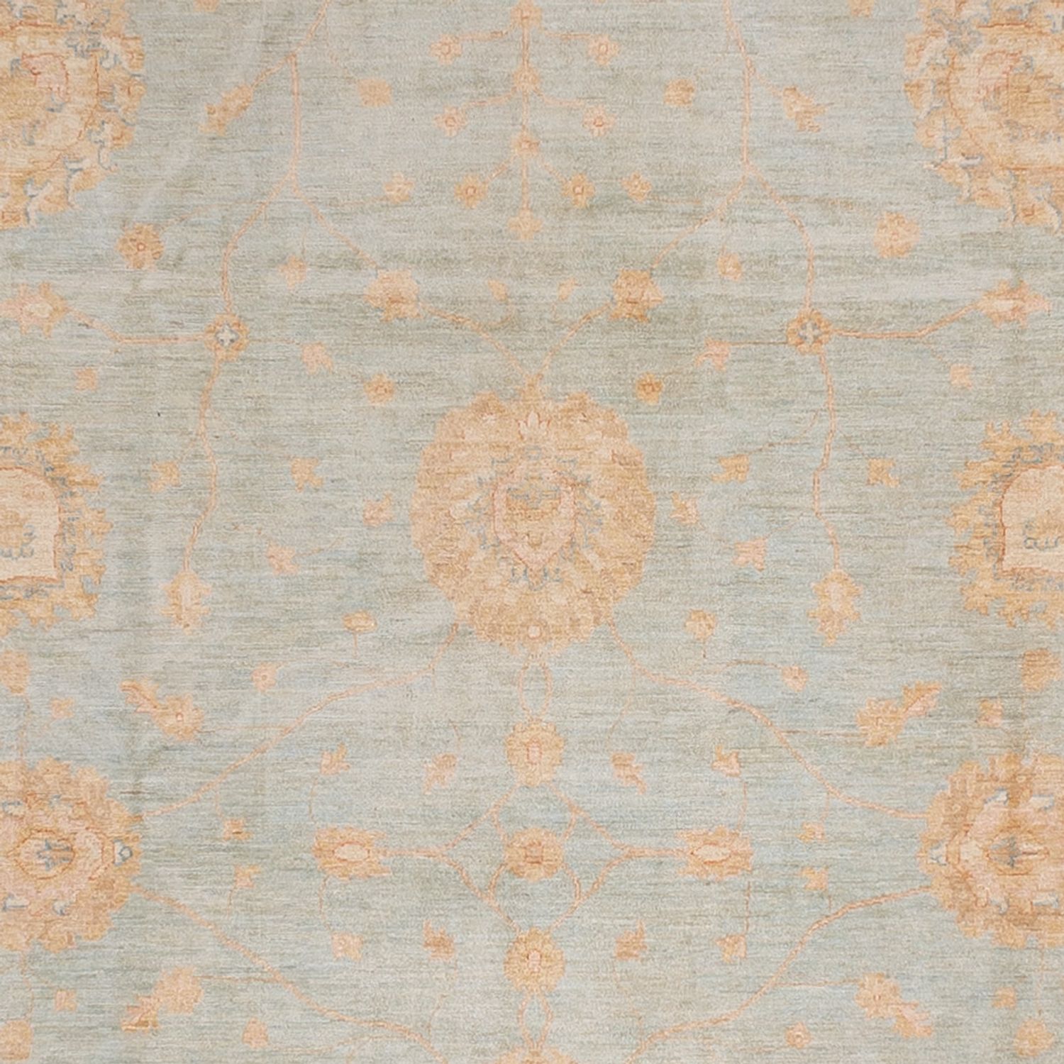 Ziegler Rug - 543 x 354 cm - light blue