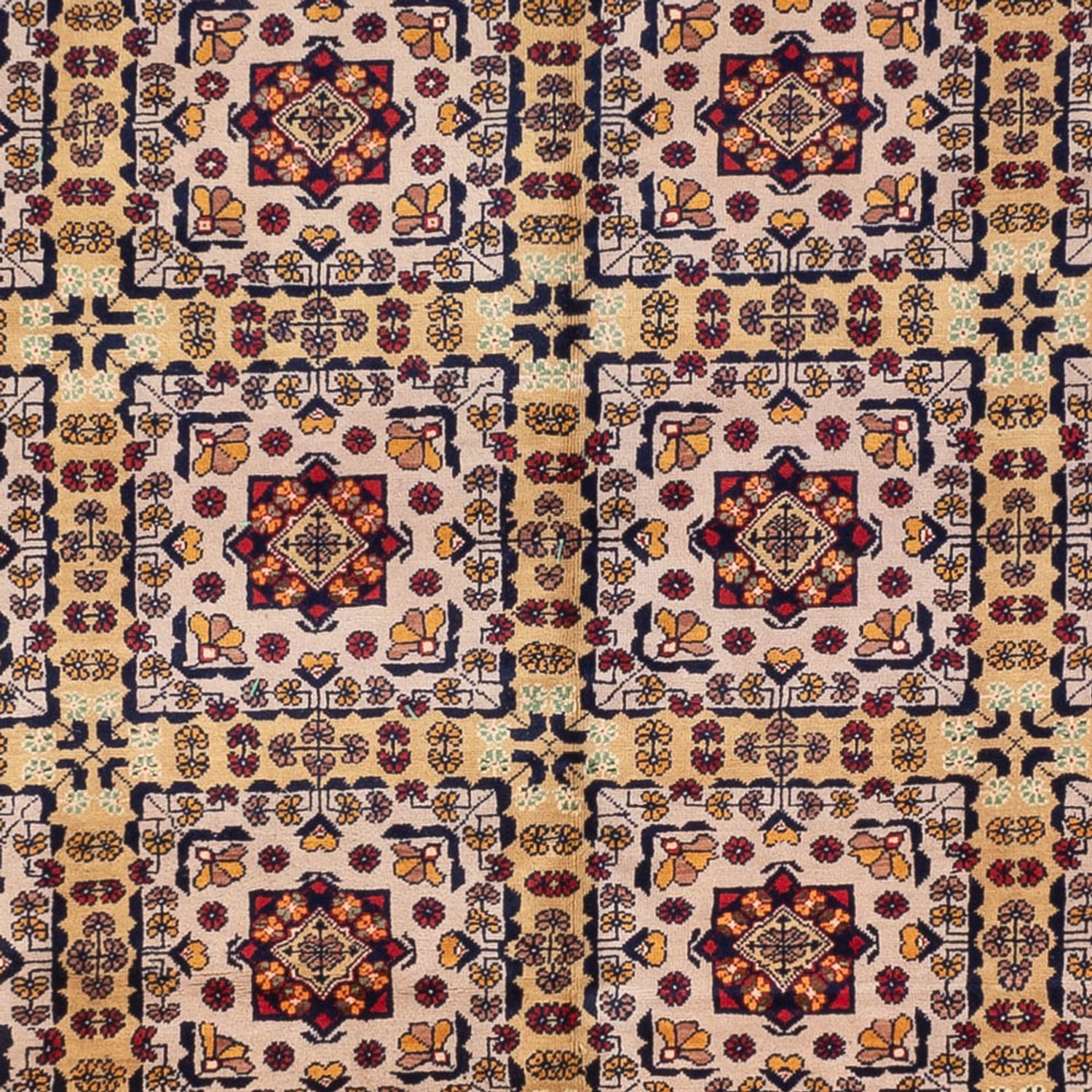 Afghan Rug - 330 x 250 cm - dark beige