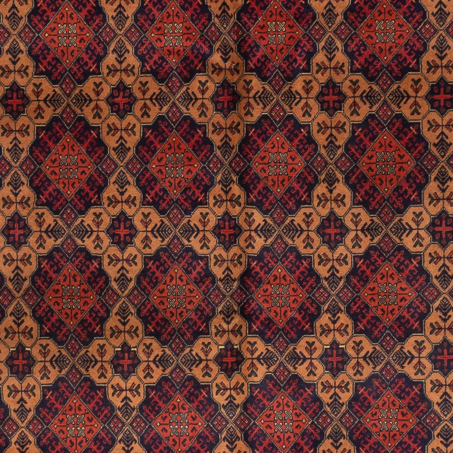 Afghan Rug - 334 x 248 cm - dark beige