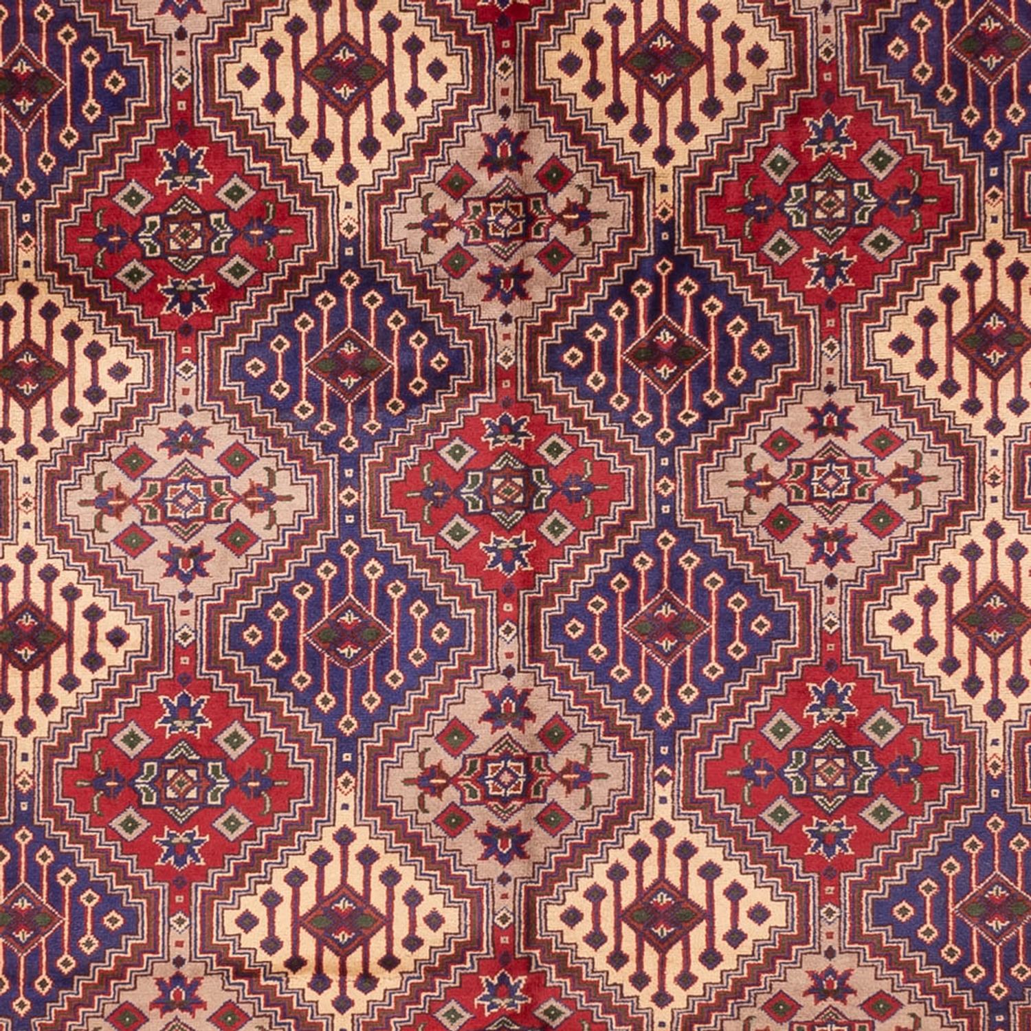 Afghan Rug - 410 x 300 cm - dark beige