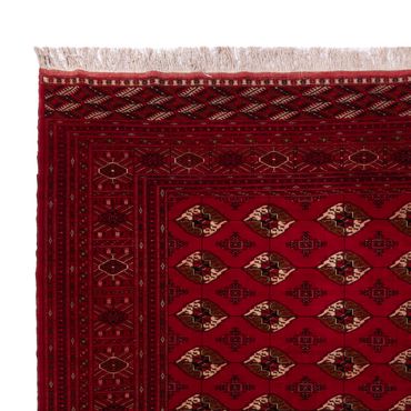Afghan Rug - Bukhara - 382 x 300 cm - red