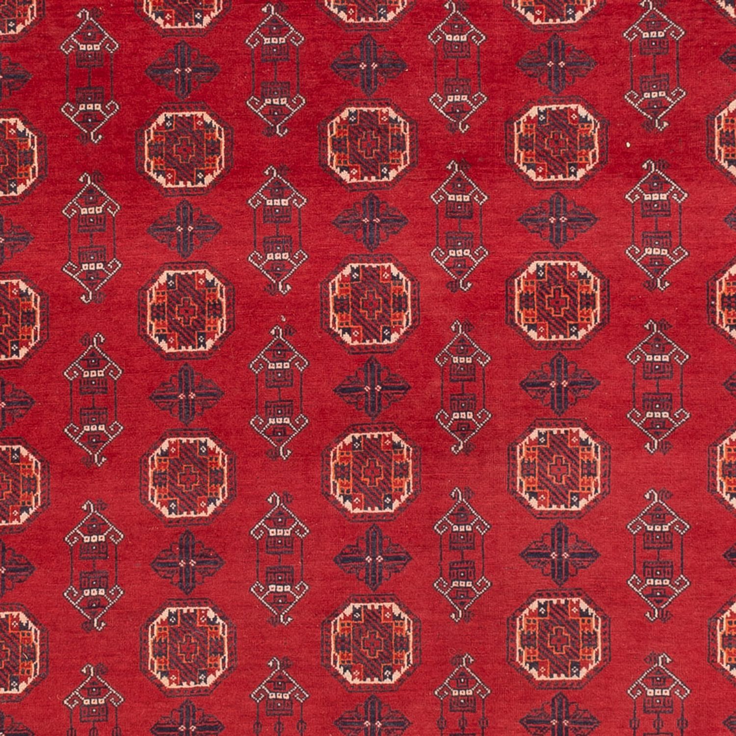 Afghan Rug - Bukhara - 278 x 191 cm - red