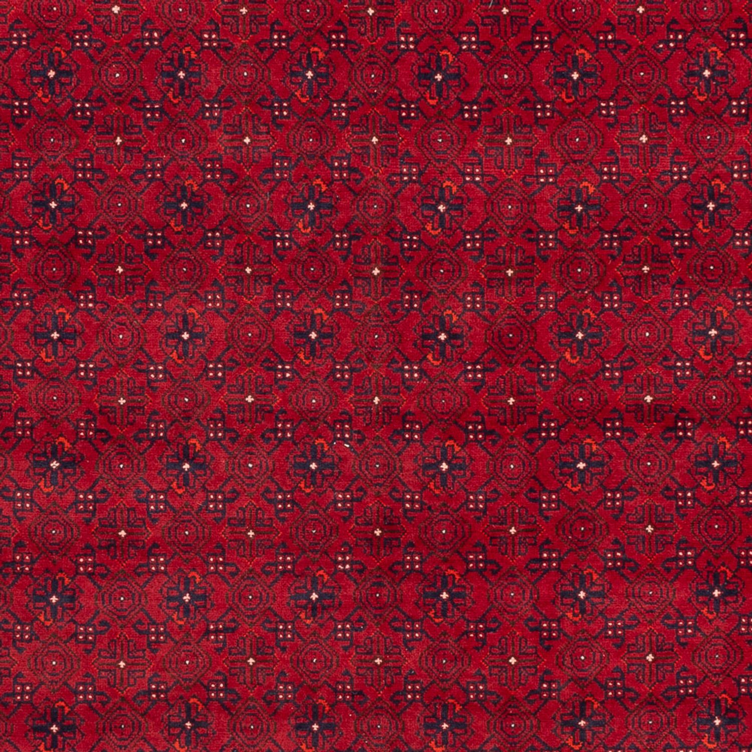 Afghan Rug - 296 x 193 cm - red
