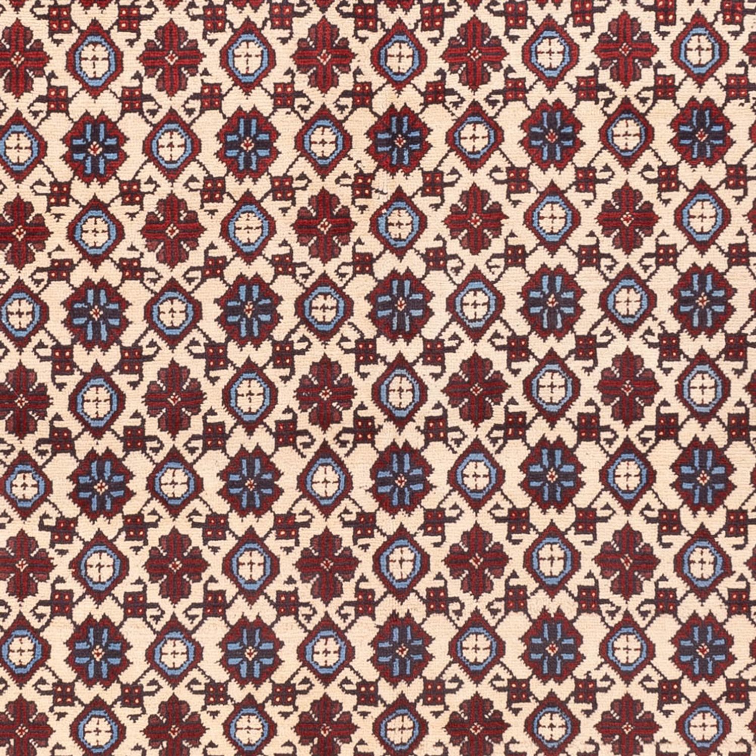 Afghan Rug - 281 x 194 cm - light beige