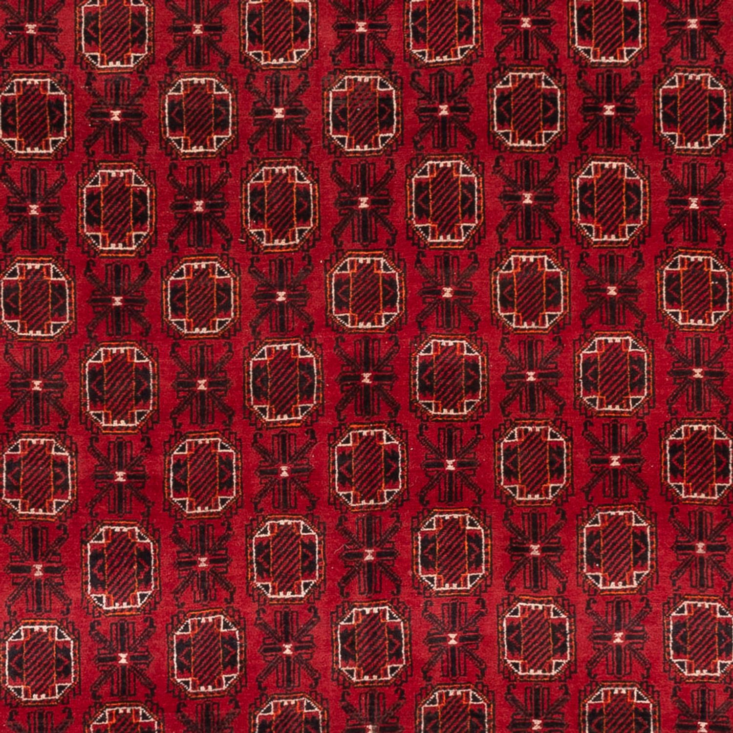 Afghan Rug - Bukhara - 274 x 198 cm - red