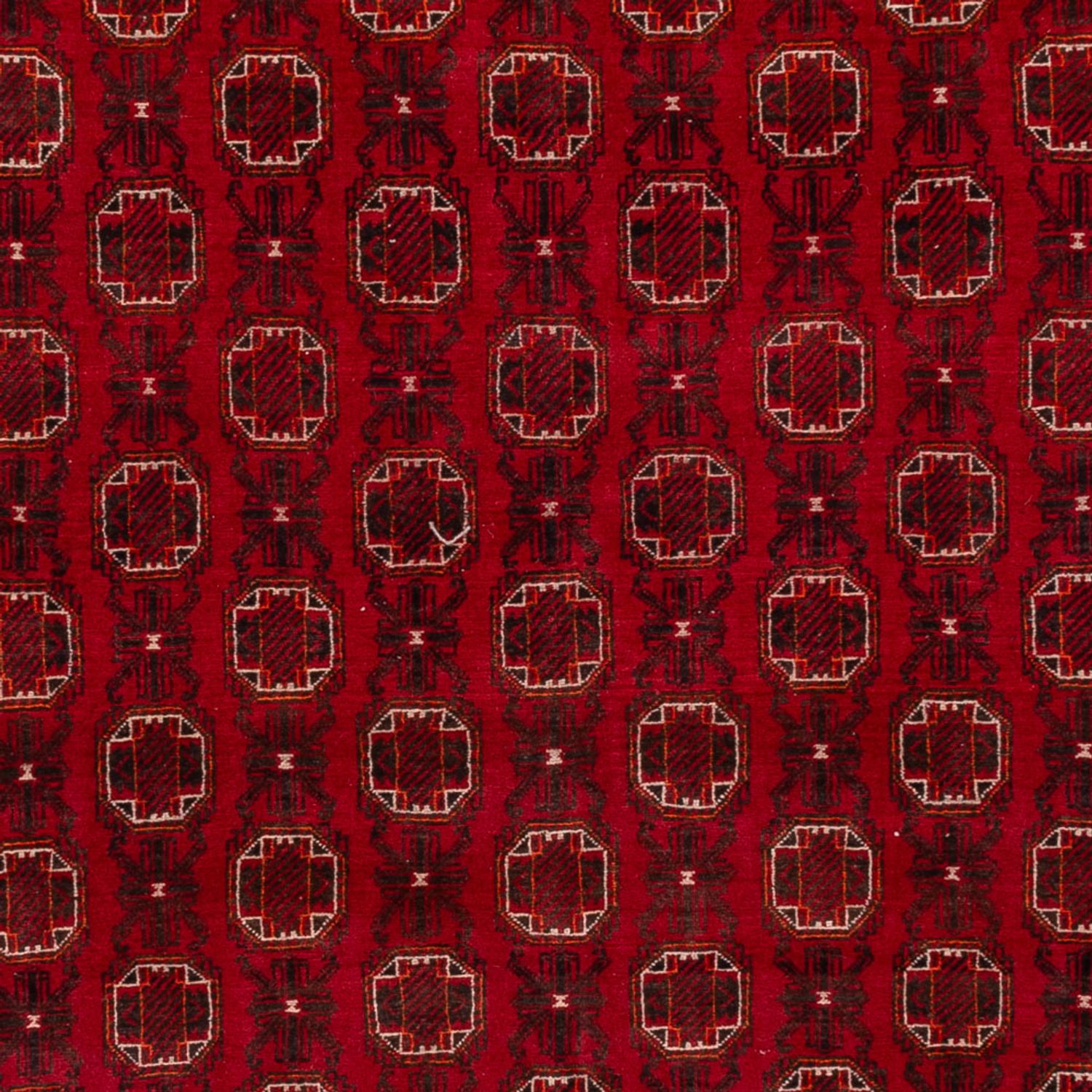 Afghan Rug - Bukhara - 276 x 200 cm - red