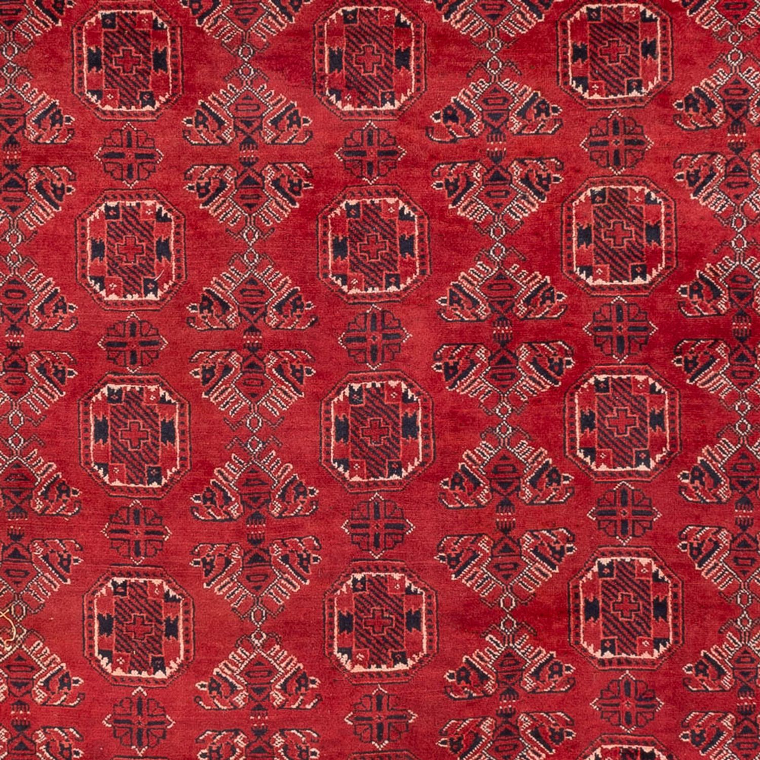Afghan Rug - 275 x 203 cm - red