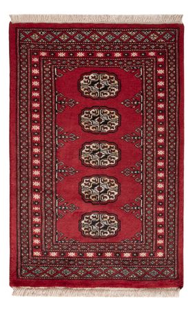 Pakistani Rug - 95 x 61 cm - red