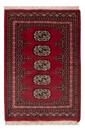 Pakistani Rug - 89 x 61 cm - red
